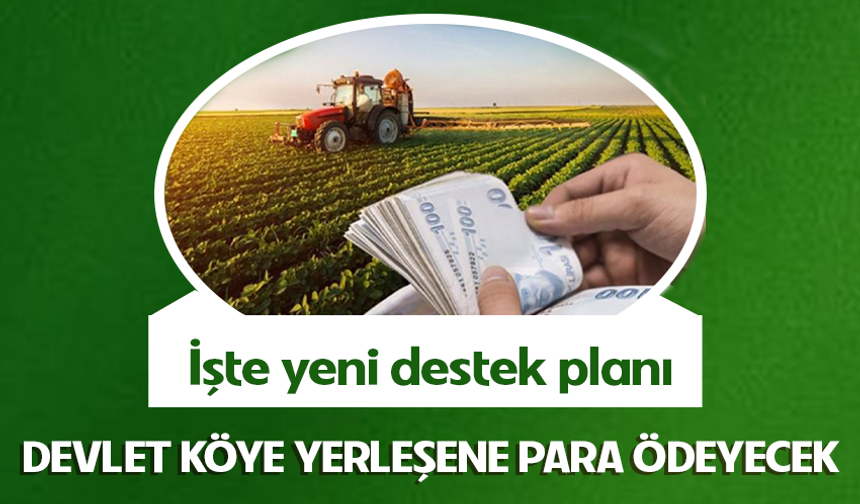 Devlet köye yerleşene para ödeyecek! İşte yeni destek planı