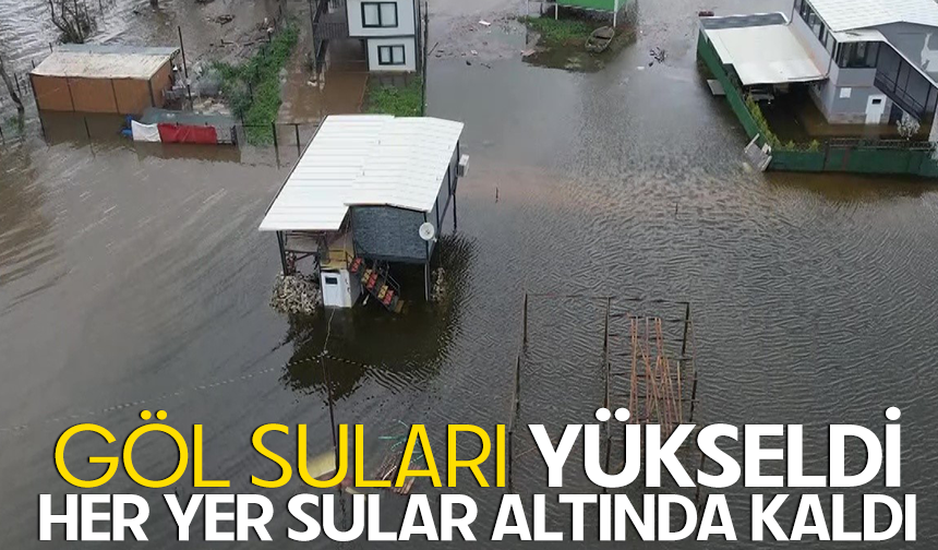 Bursa Ulubat Gölü taştı, felaket havadan görüntülendi