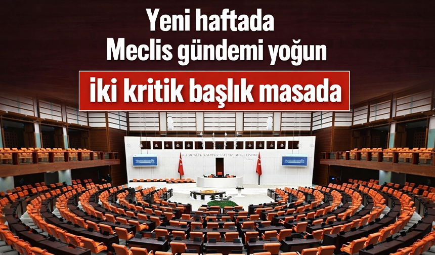 Yeni haftada Meclis gündemi yoğun