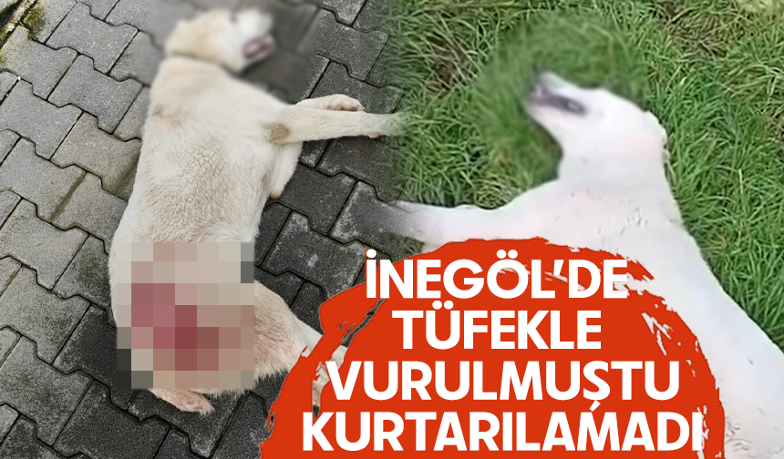 Bursa İnegöl’de tüfekle vurulmuştu... Kurtarılamadı