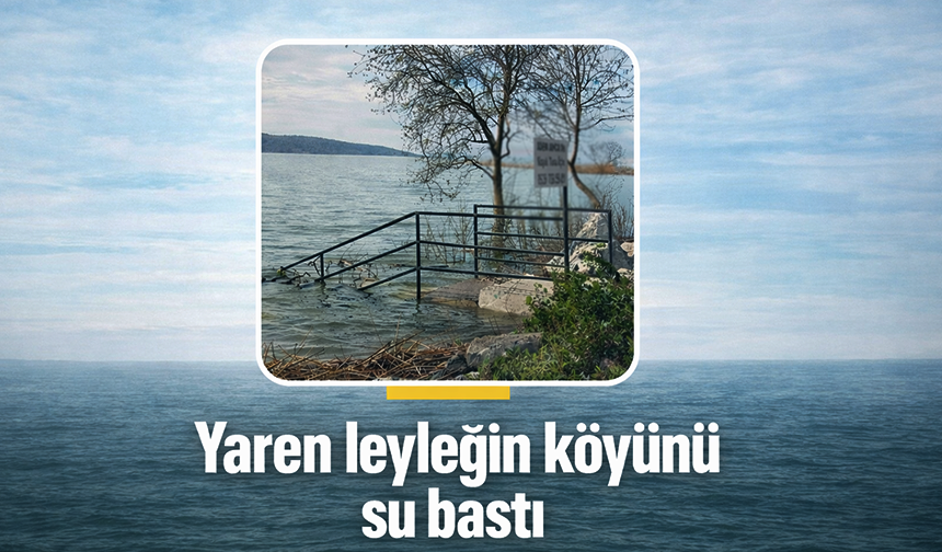 Bursa'da  Yaren leyleğin köyü de yükselen göl sularından etkilendi