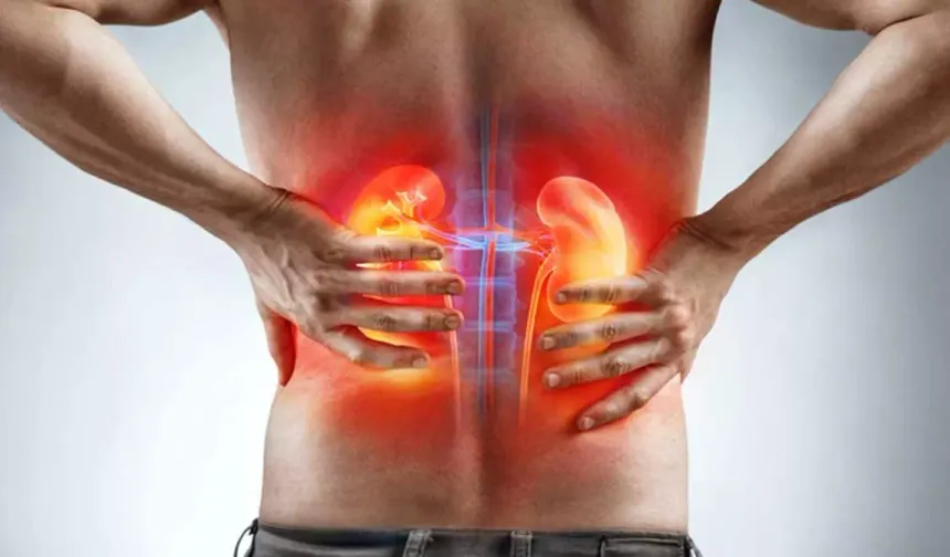 Böbrek sağlığında tehlikeli tablo: Her 7 kişiden biri hasta