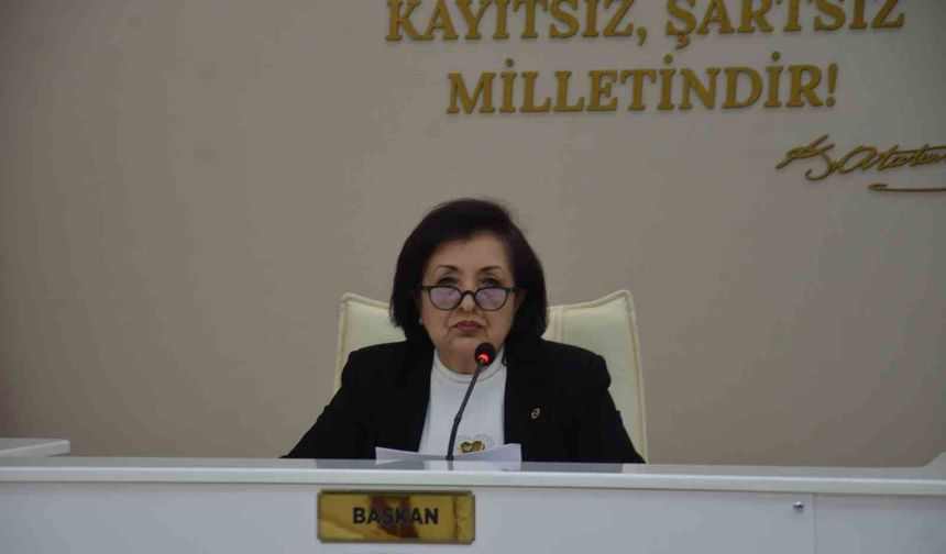 CHP'li Belediye Meclis üyesi Tan, komisyon görevlerinden istifa etti