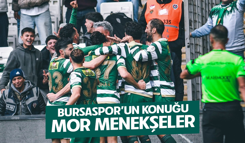 Bursaspor'un konuğu mor menekşeler