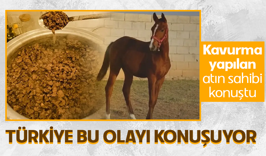 Büyükşehir Belediyesi'nde at eti skandalı: Yarış atının sahibi açıklama yaptı