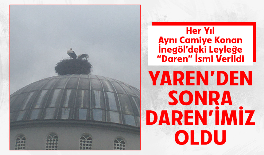 Her Yıl Aynı Camiye Konan İnegöl’deki Leyleğe “Daren” İsmi Verildi