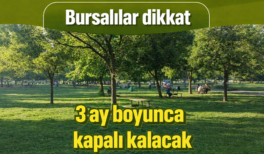 Bursa Hamitler Mesire Alanı, 3 ay kapalı kalacak