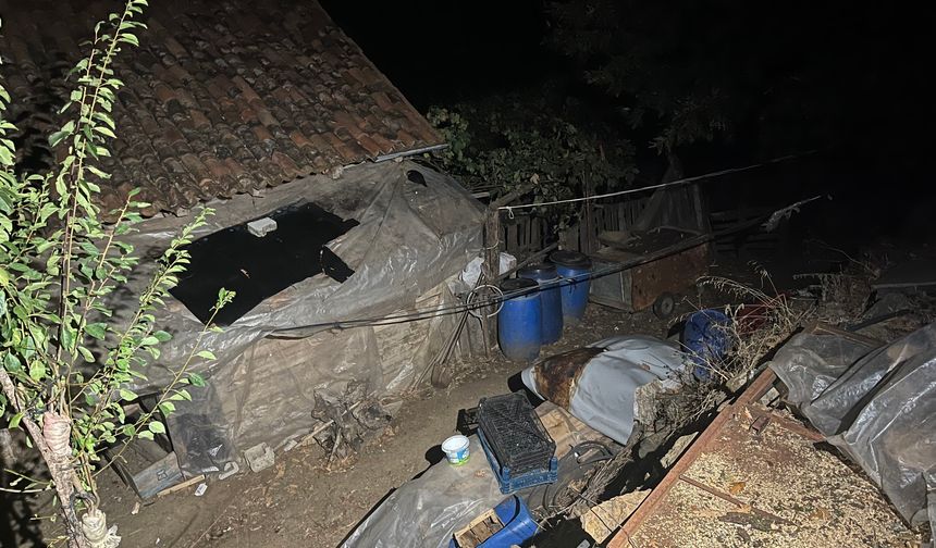 Bursa'da kan donduran torun dehş*tine rekor ceza