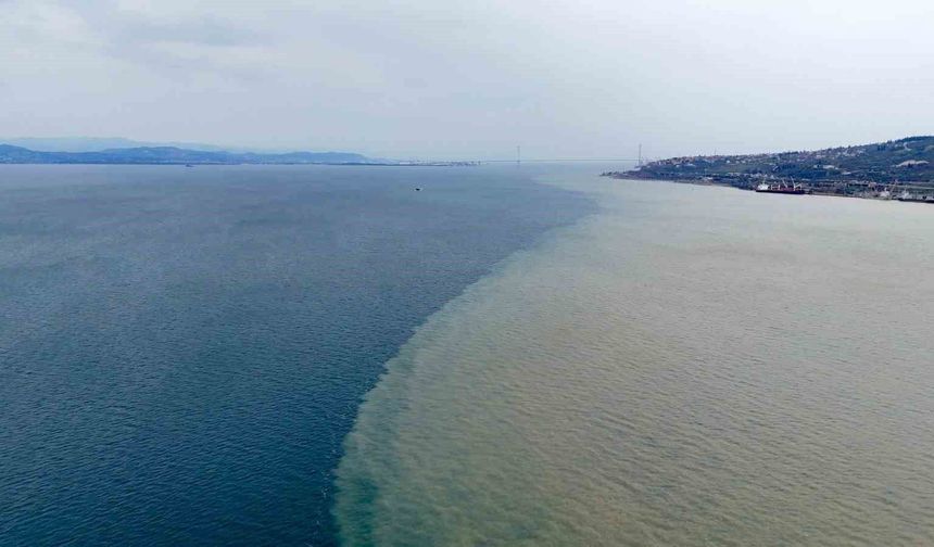 İzmit Körfezi iki renk oldu: Derenin taşıdığı çamur denizin rengini değiştirdi
