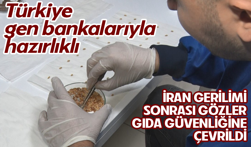 İran gerilimi sonrası gözler gıda güvenliğine çevrildi