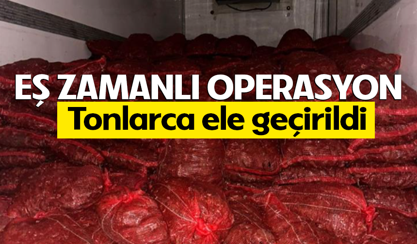 Bursa ve Balıkesir’de eş zamanlı operasyon: Tonlarca midye ele geçirildi