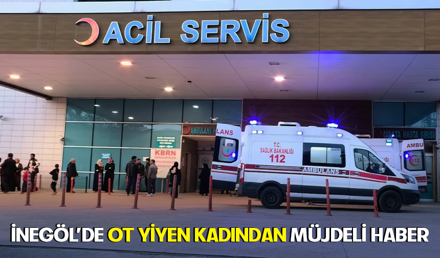 Bursa İnegöl'de ot yiyen kadından müjdeli haber