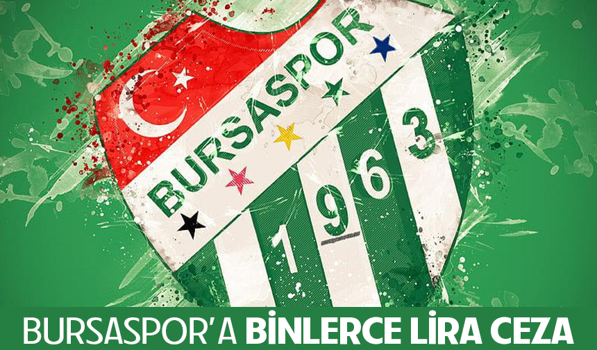 Bursaspor'a binlerce liralık ceza