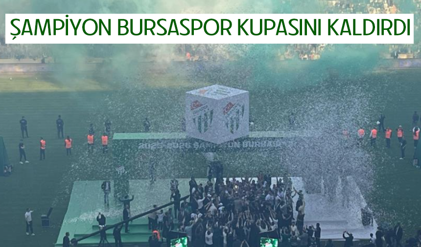 Bursa'da tarihi akşam, timsah geri döndü