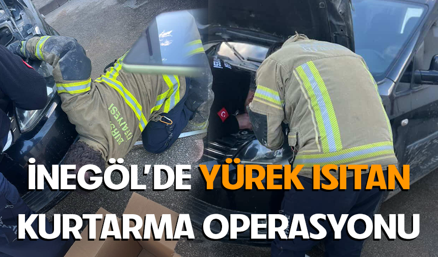 İnegöl'de yürek ısıtan kedi kurtarma operasyonu