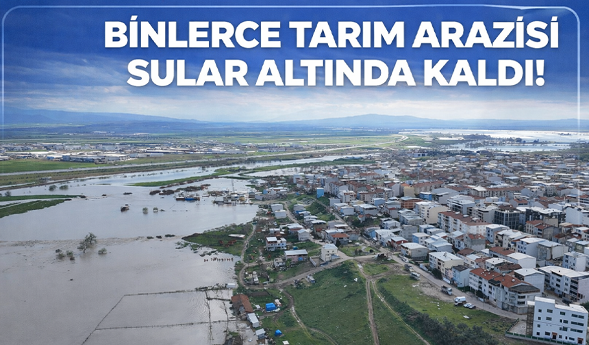 Bursa Karacabey Ovası sular altında kaldı!