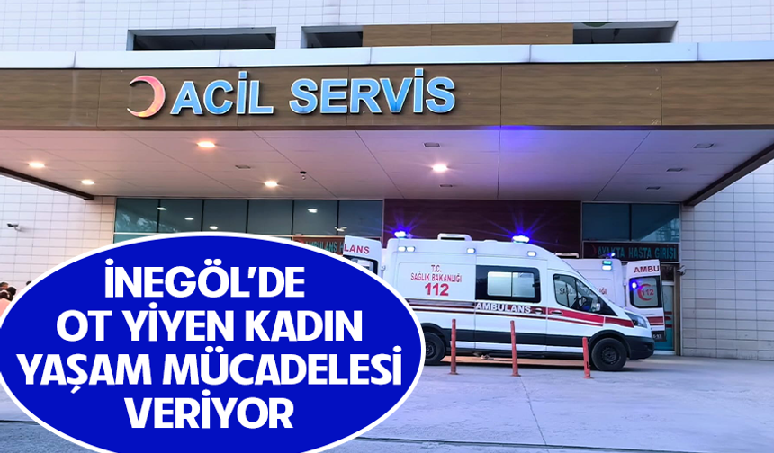 Bursa İnegöl'de ot yiyen kadın yaşam mücadelesi veriyor