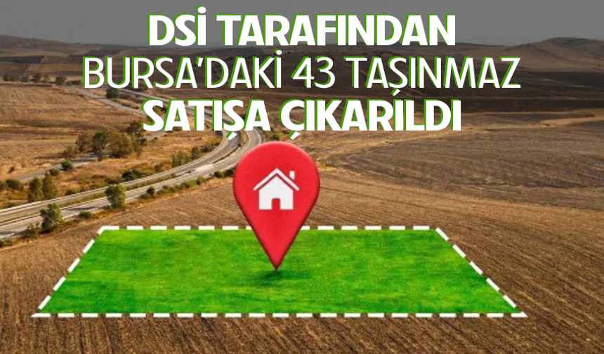 DSİ tarafından Bursa'daki 43 taşınmaz satışa çıkarıldı
