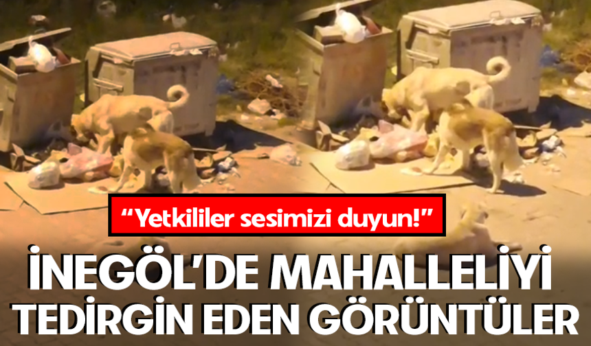 Bursa İnegöl’de mahalleliyi tedirgin eden görüntüler!