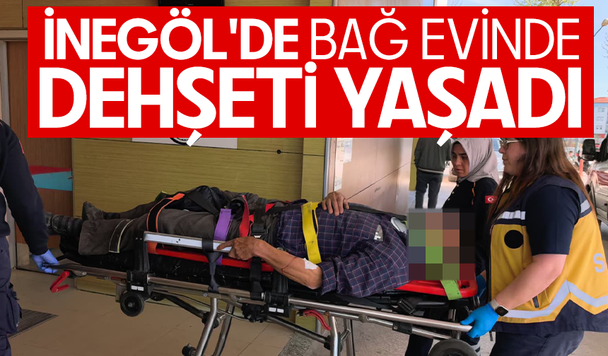 Bursa İnegöl'de bağ evinde dehşeti yaşadı