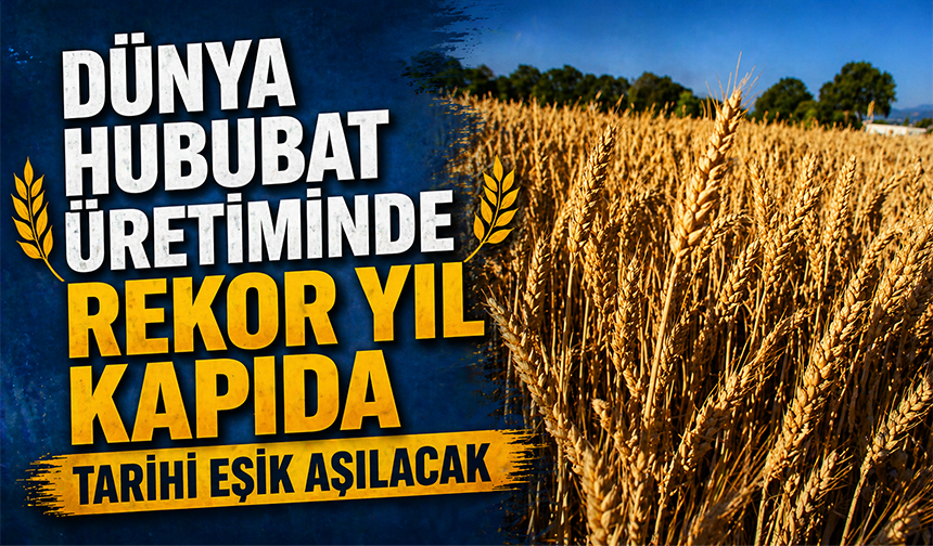 Dünya hububat üretiminde bir ilk gerçekleşecek