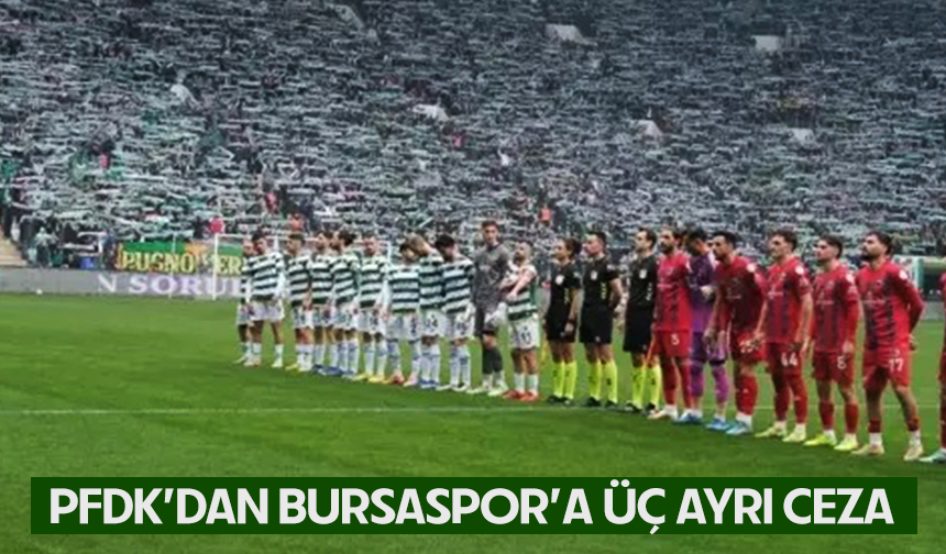 PFDK'dan Bursaspor'a ceza