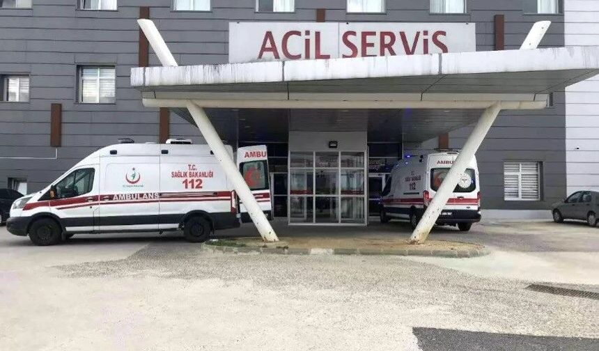 Arı saldırısına uğrayan yaşlı çift hastanelik oldu