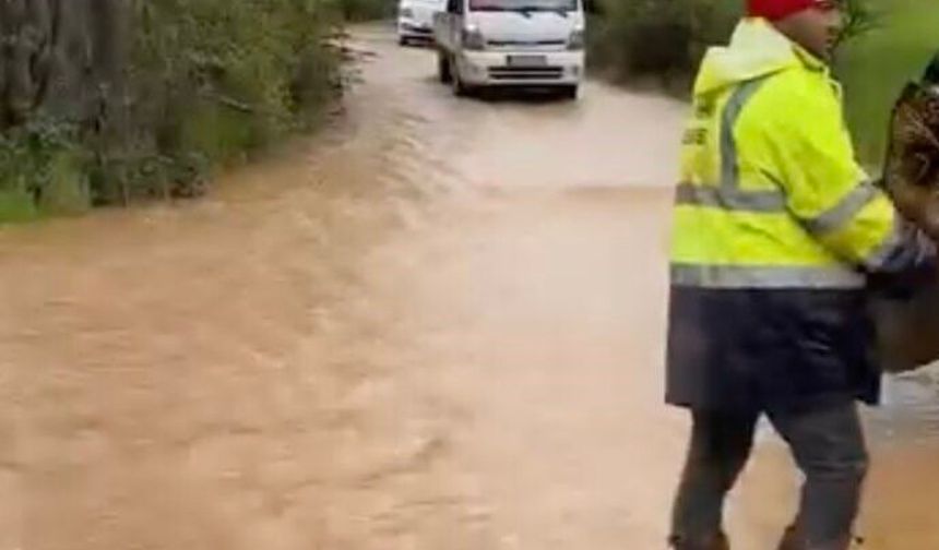 Dere taşkını yolu esir aldı, araçlar kontak kapattı