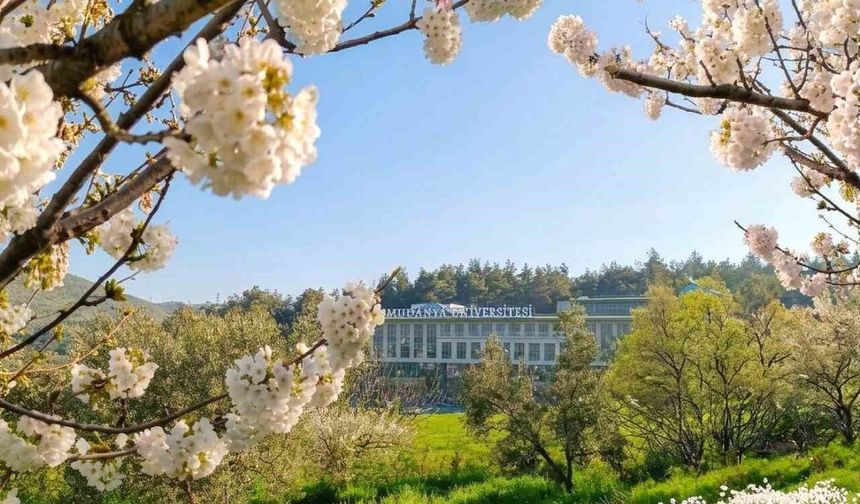 Mudanya Üniversitesi'ne 6 yeni bölüm daha
