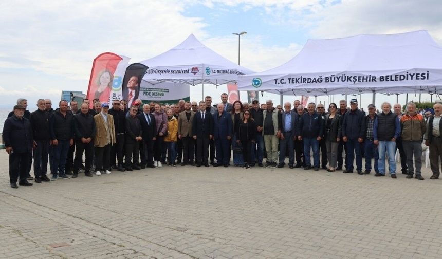 Sebze üreticilerine yarım milyon fide