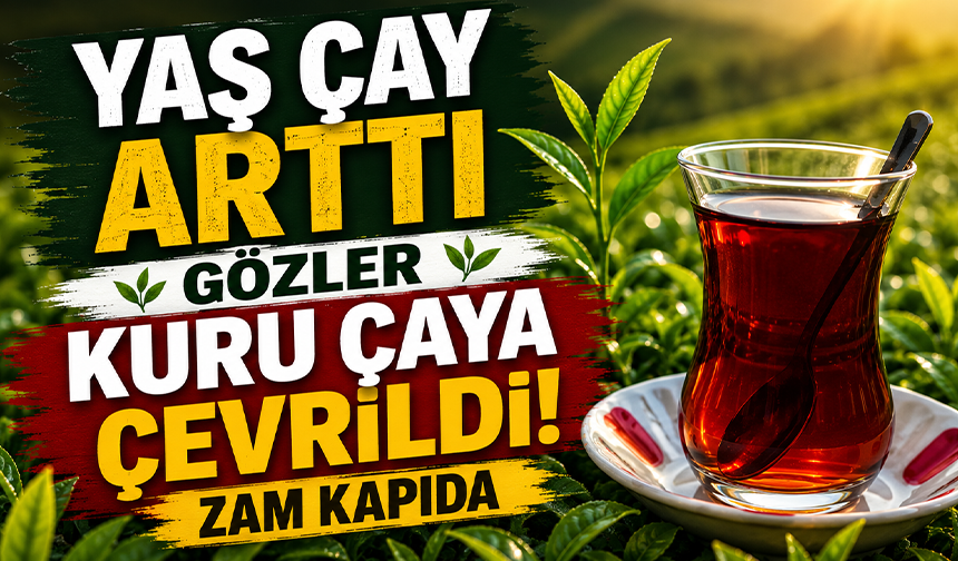 Çay üreticileri yaş çay alım fiyatındaki artış sonrası kuru çaya da zam bekliyor