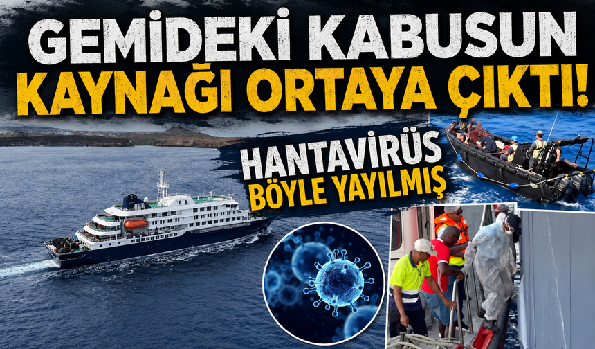 Hantavirüs böyle yayılmış! Havada uçan toz bile öldürücü