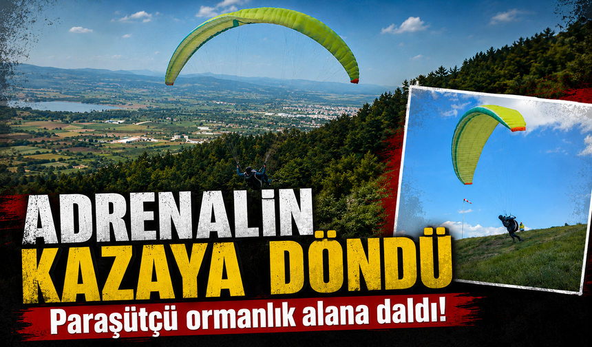 Bursa'da paraşütü ile ormana daldı