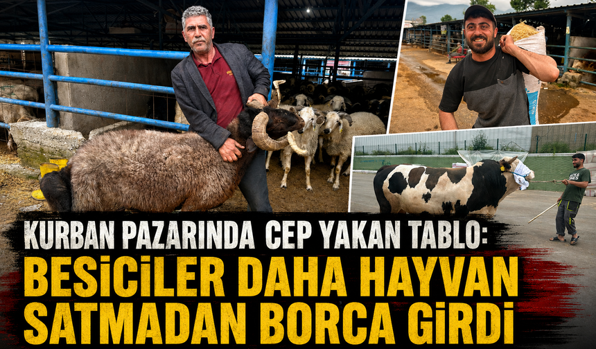 Bursa'daki kurbanlık pazarında hareketlilik