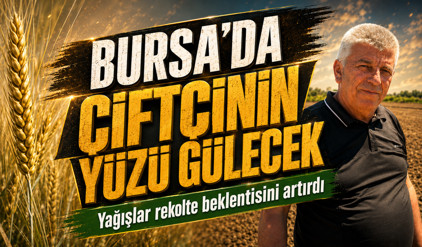Yağışlar Karacabey Ovası'na buğday bereketi getirdi; dekara 900 kilogram bekleniyor