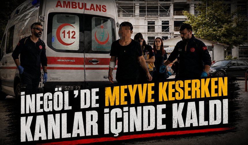 Bursa İnegöl'de meyve keserken kanlar içinde kaldı