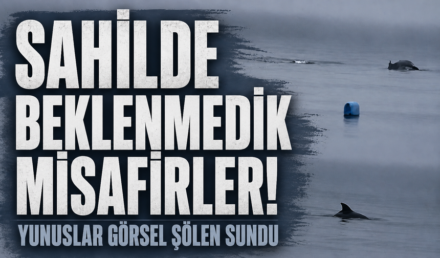 Yunus ailesi Bursa Mudanya'da yağmur altında görüntülendi