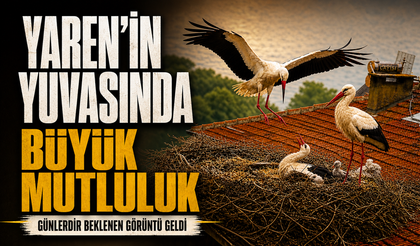 Bursa'da Yaren leyleğin yuvasında büyük sevinç