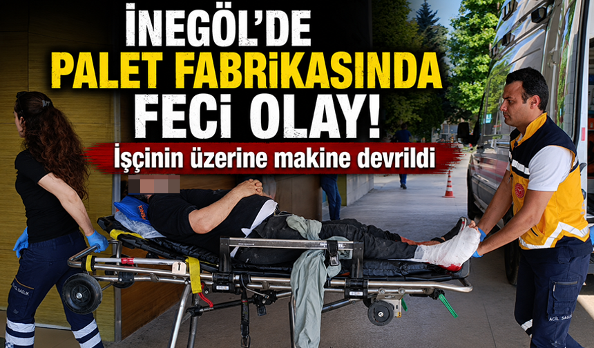 Bursa İnegöl'de palet fabrikasında feci olay! İşçinin üzerine makine devrildi