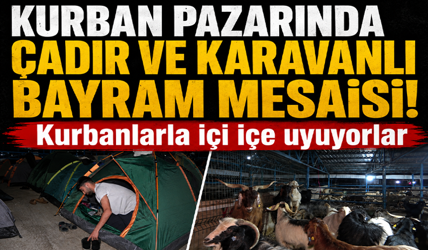 Bursa'da kurban pazarında çadır ve karavanlı bayram mesaisi
