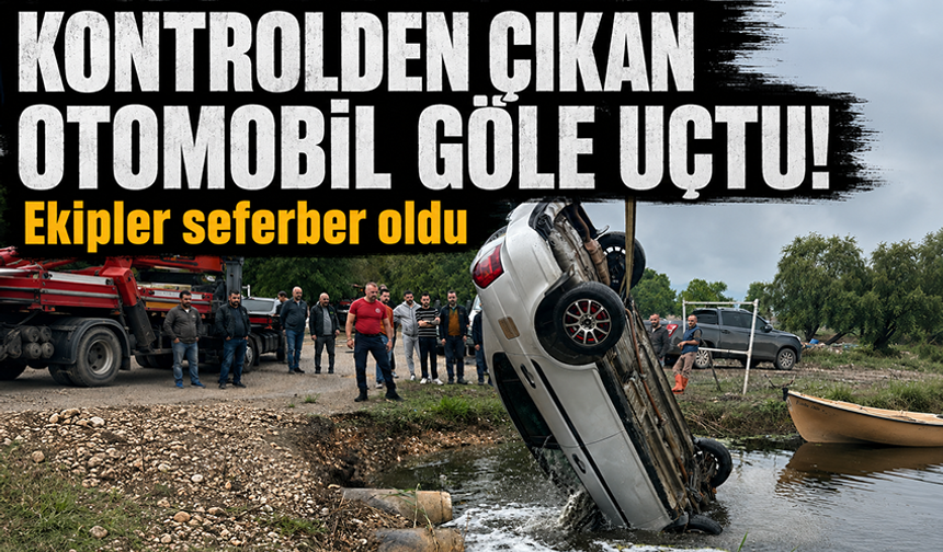 Bursa'da kontrolden çıkan otomobil Ulubat Gölü’ne uçtu
