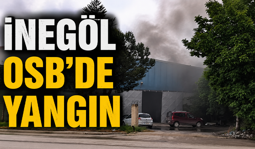 Bursa İnegöl OSB'de yangın