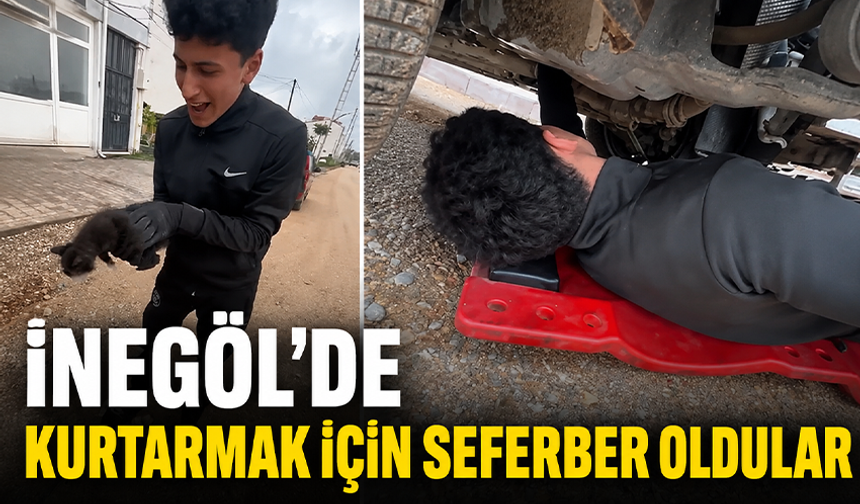 Bursa İnegöl'de kediyi kurtarmak için seferber oldular
