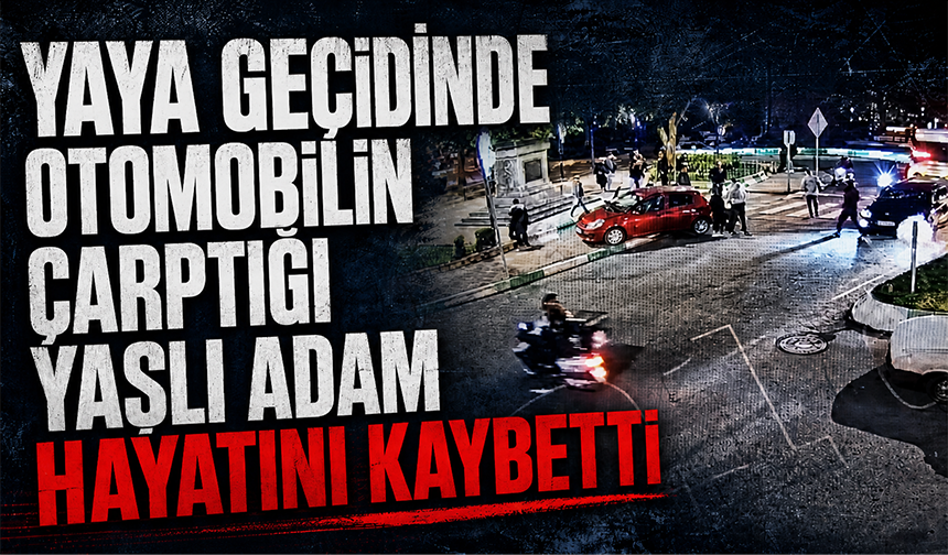 Yaya geçidinde otomobilin çarptığı yaşlı adam hayatını kaybetti