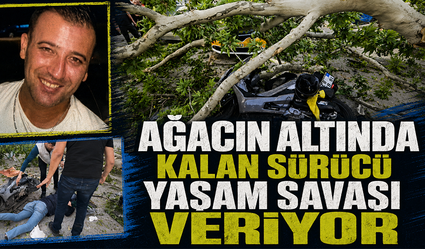 Bursa'da cadde kenarındaki ağaç devrildi, motosikletli ağır yaralandı