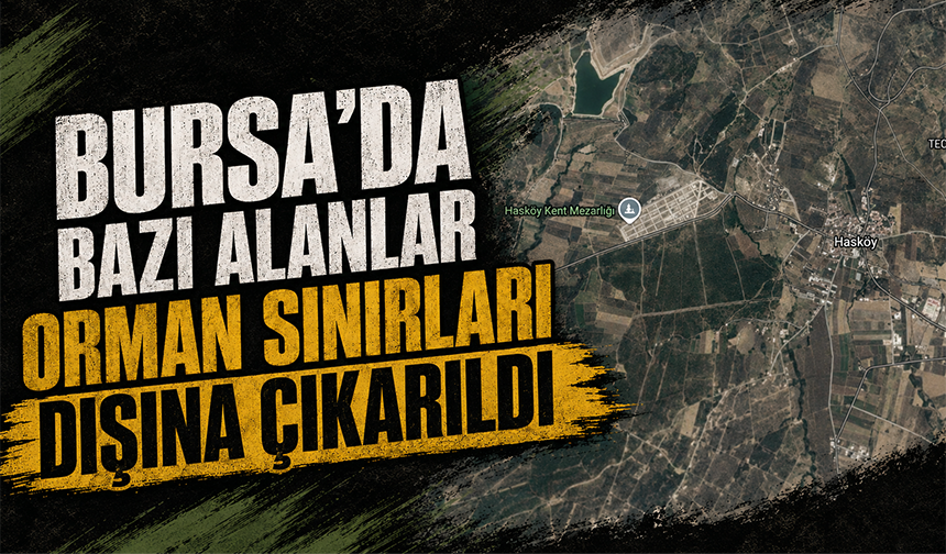 Bursa'da bazı alanlar orman sınırları dışına çıkarıldı