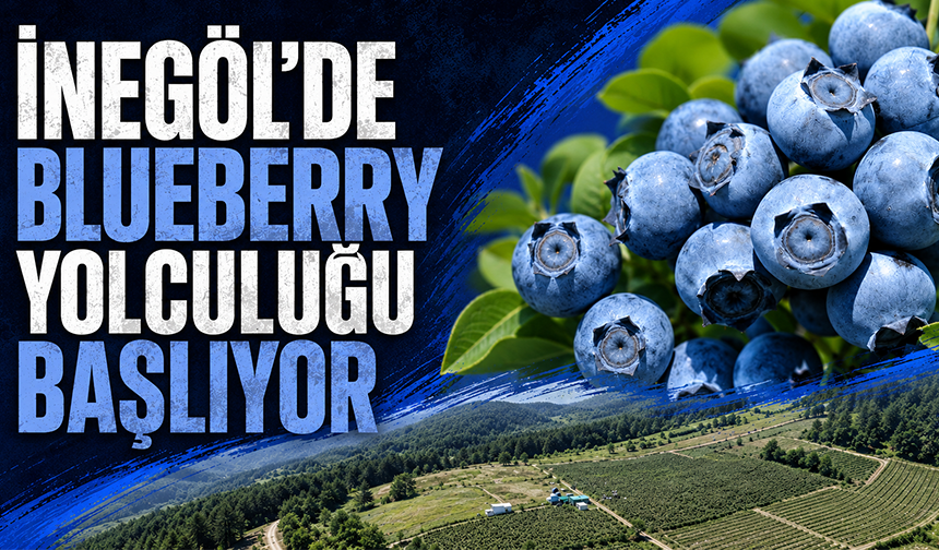 İnegöl’de Blueberry Yolculuğu Başlıyor