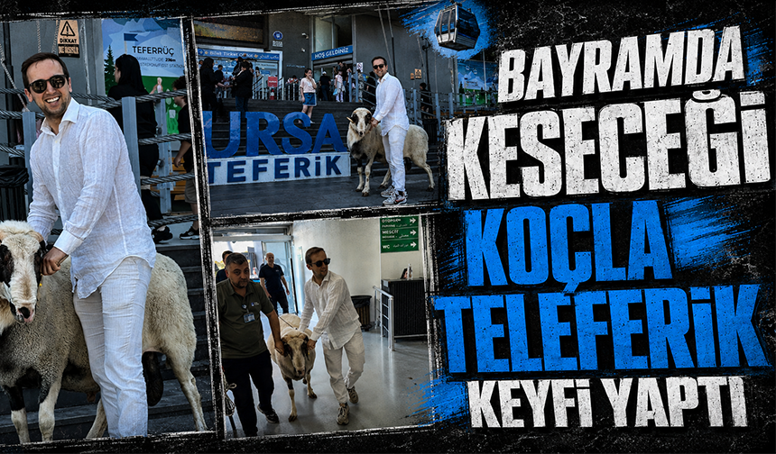 Bayramda keseceği koçla teleferik keyfi yaptı