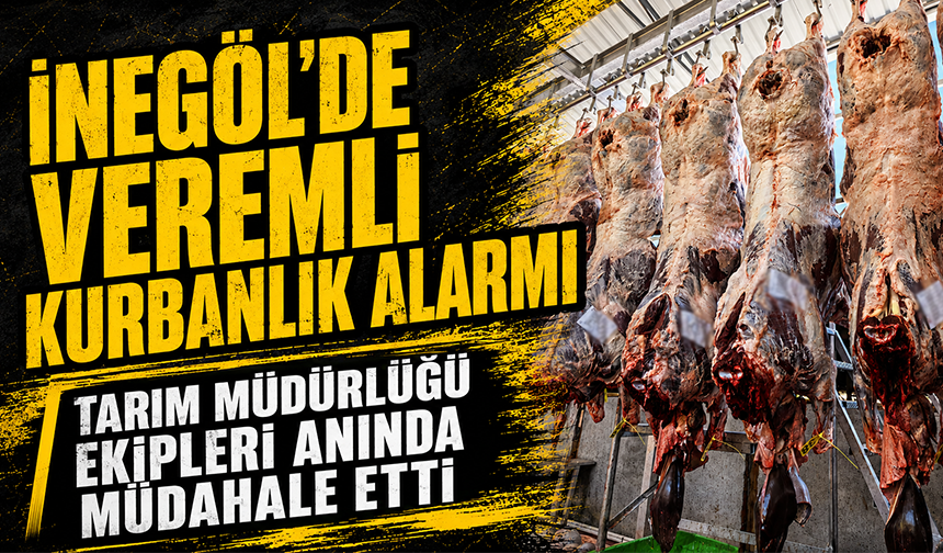 Bursa İnegöl’de veremli kurbanlık alarmı | Tarım Müdürlüğü ekipleri anında müdahale etti