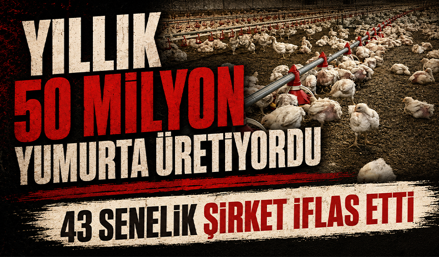 43 yıllık yumurta devi iflas etti